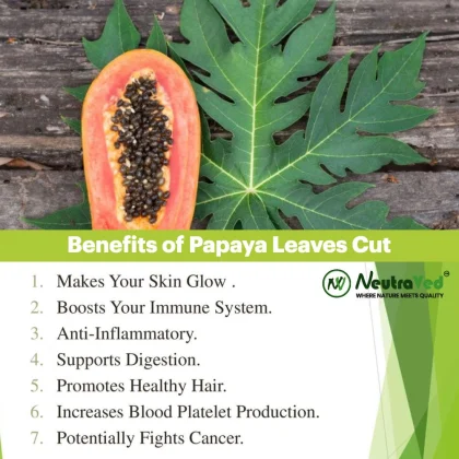 Papaya Leaves image 6